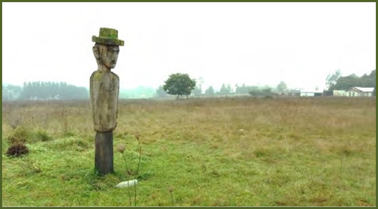 Chemamüll de Mono Paine, Padre Las Casas ( 2017) [42]