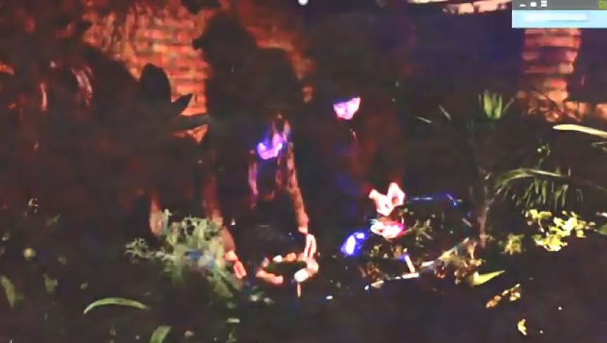 Diálogos Inter especies en la inmunidad solidaria