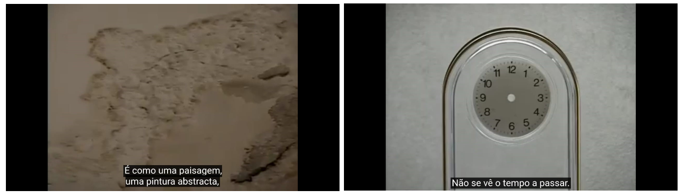 Frames do documentário ‘Os catadores e eu’ de Agnès Varda