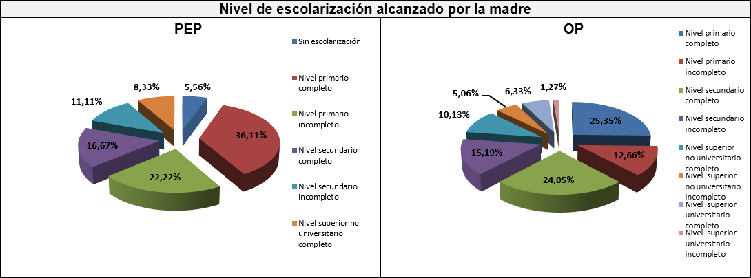 Gráfico seis: Nivel de escolarización alcanzado por la madre