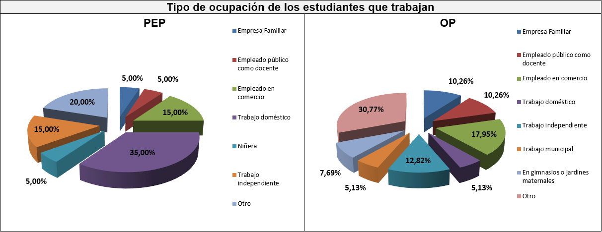 Gráfico doce: Tipo de ocupación de los estudiantes que trabajan