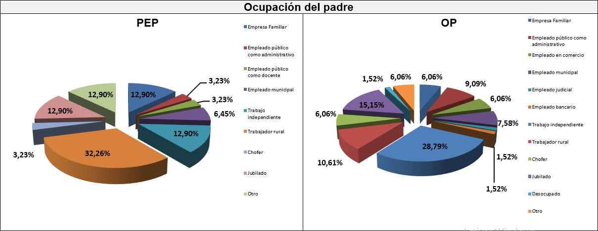 Gráfico trece: Ocupación del padre