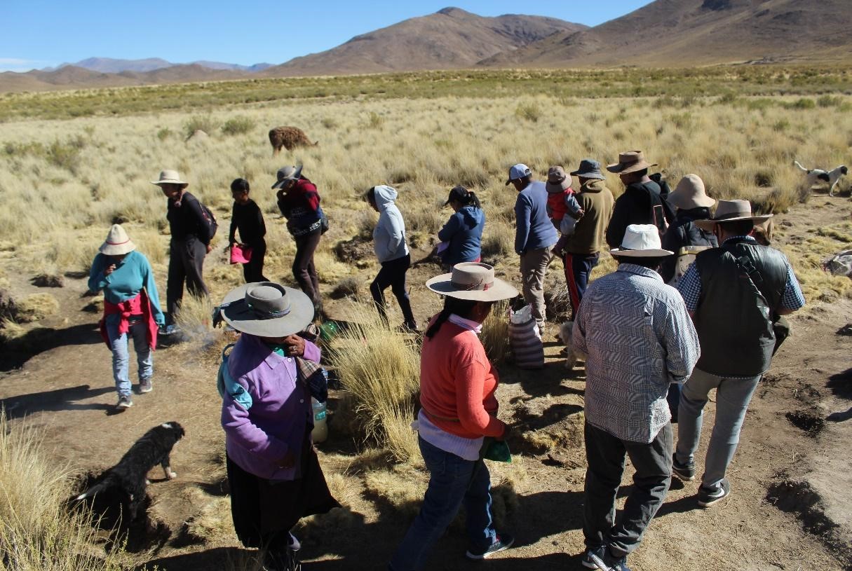 Ilustraci&oacute;n 1 Ronda de coplas (alrededor del
pozo-boca de la Pacha) durante el ritual de 'corpachada' de los corrales en Queta,
Puna de Jujuy (Foto: Carolina Adi, agosto de 2024)