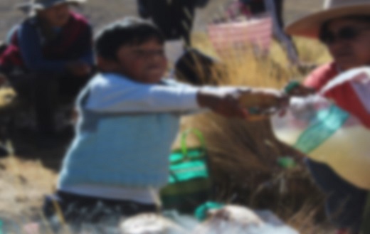 Ilustraci&oacute;n 2 Ni&ntilde;o challando con chuya de
chicha (fermento aguado de ma&iacute;z) durante la corpachada. (Foto: Carolina Adi, Puna de Jujuy agosto
2024)