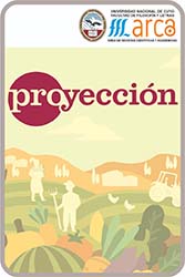 Miniatura de la revista Proyección